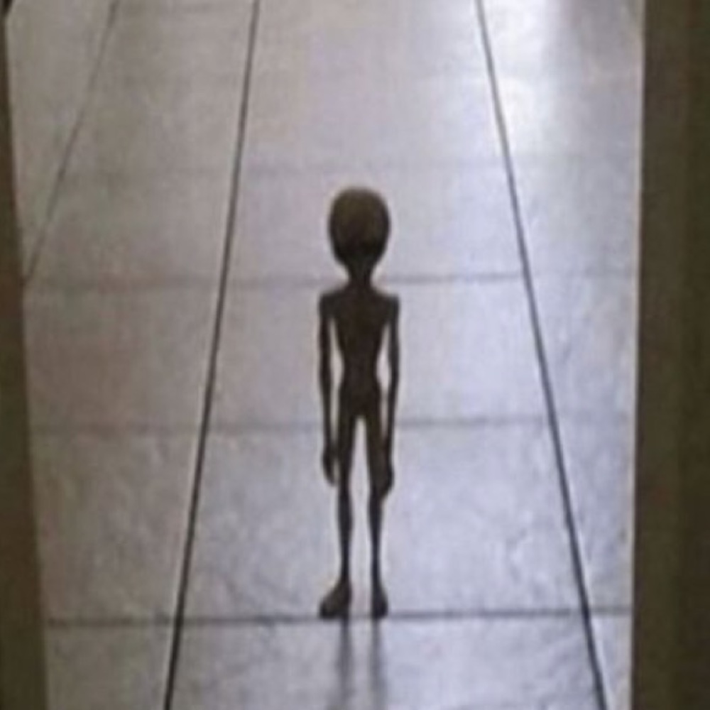 Meet your Posher, Ava